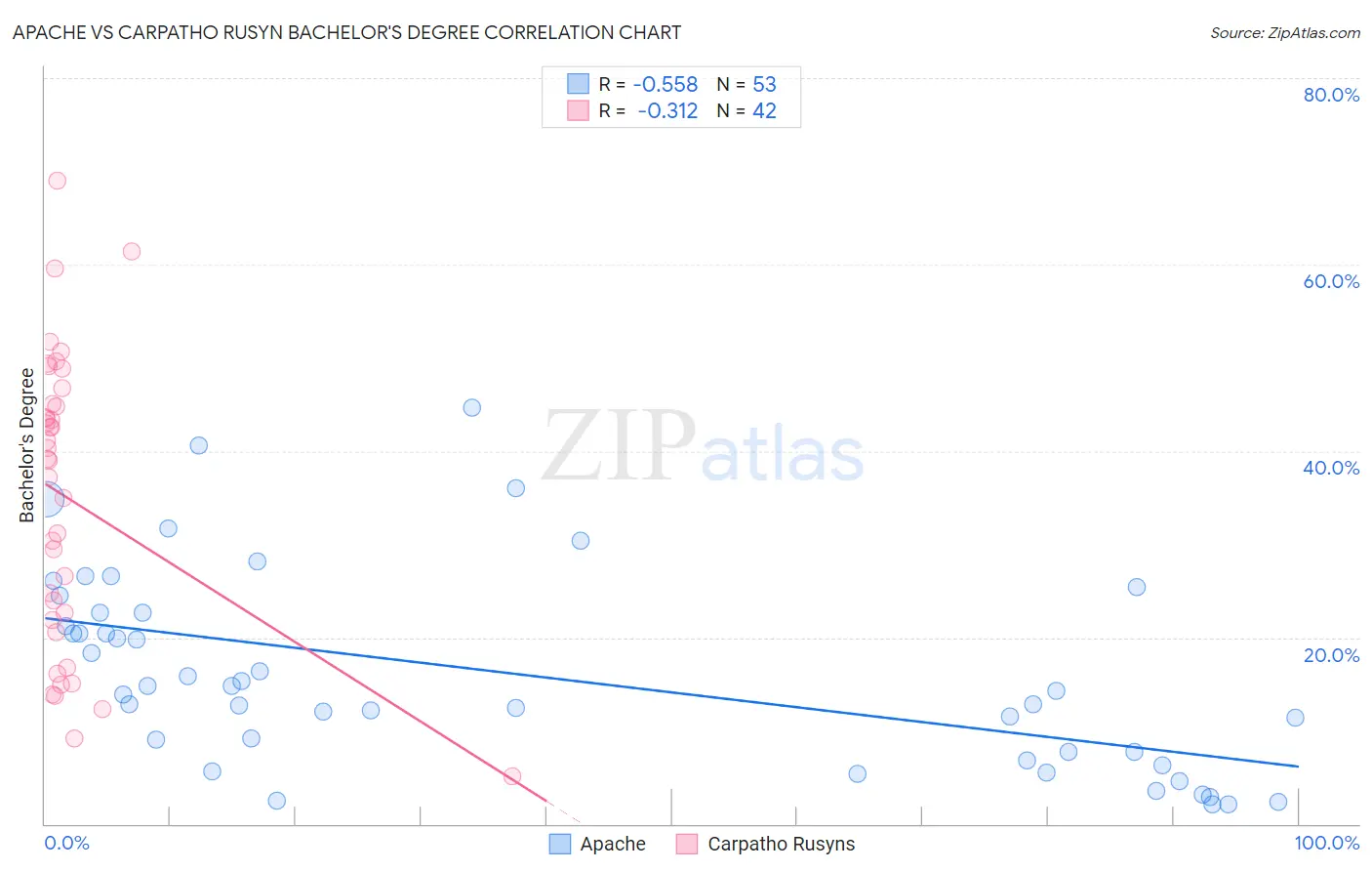 Apache vs Carpatho Rusyn Bachelor's Degree