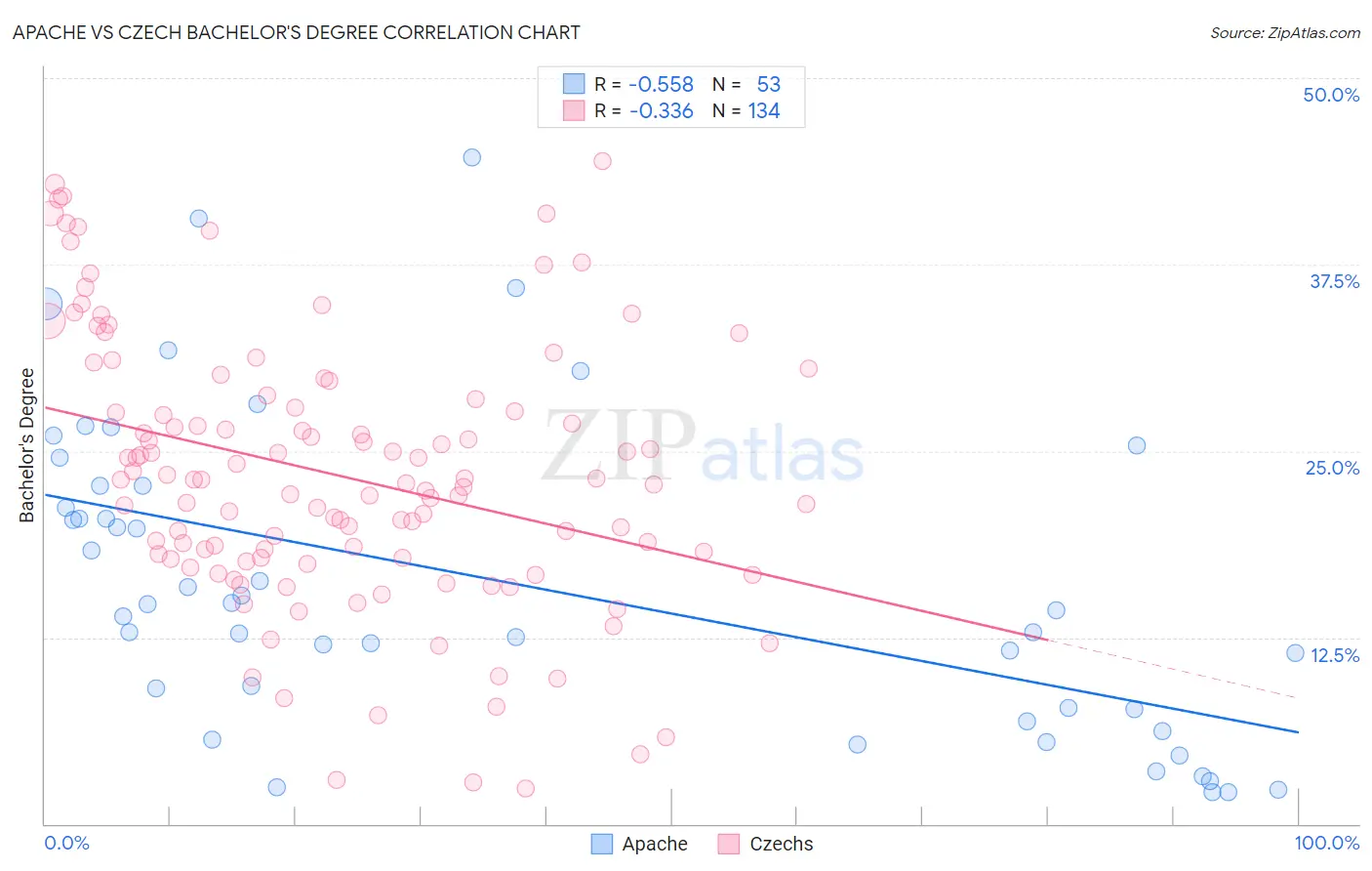 Apache vs Czech Bachelor's Degree