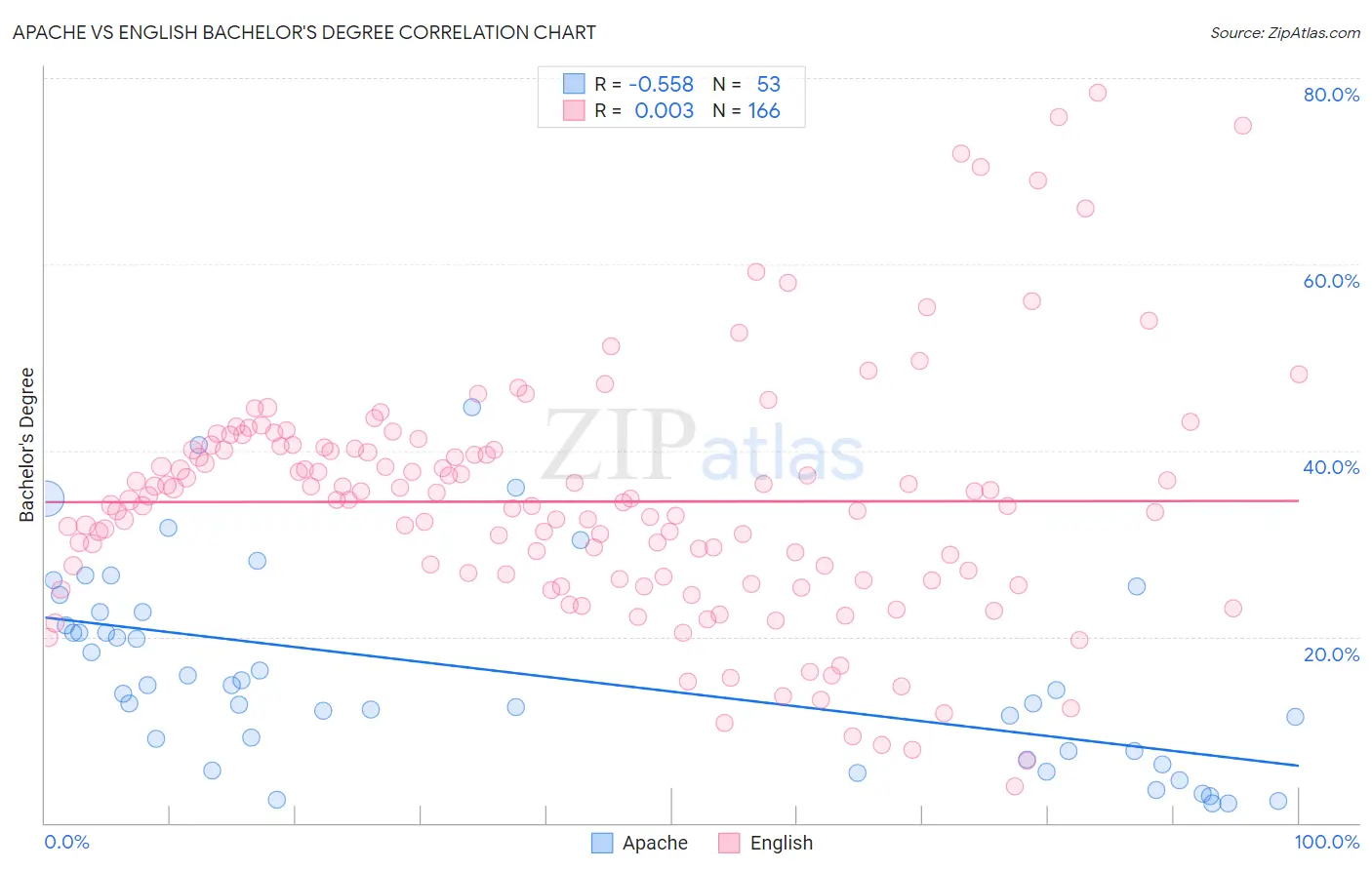 Apache vs English Bachelor's Degree