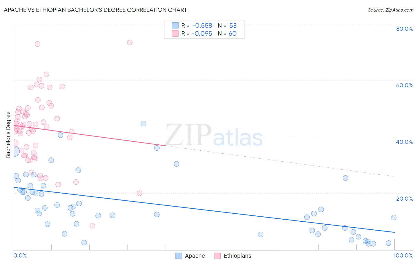 Apache vs Ethiopian Bachelor's Degree