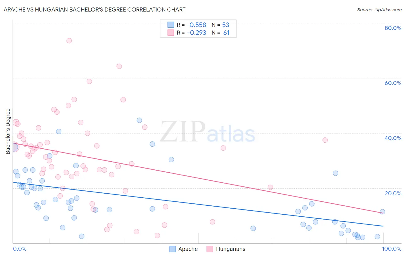 Apache vs Hungarian Bachelor's Degree