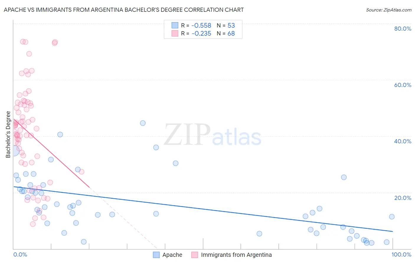 Apache vs Immigrants from Argentina Bachelor's Degree