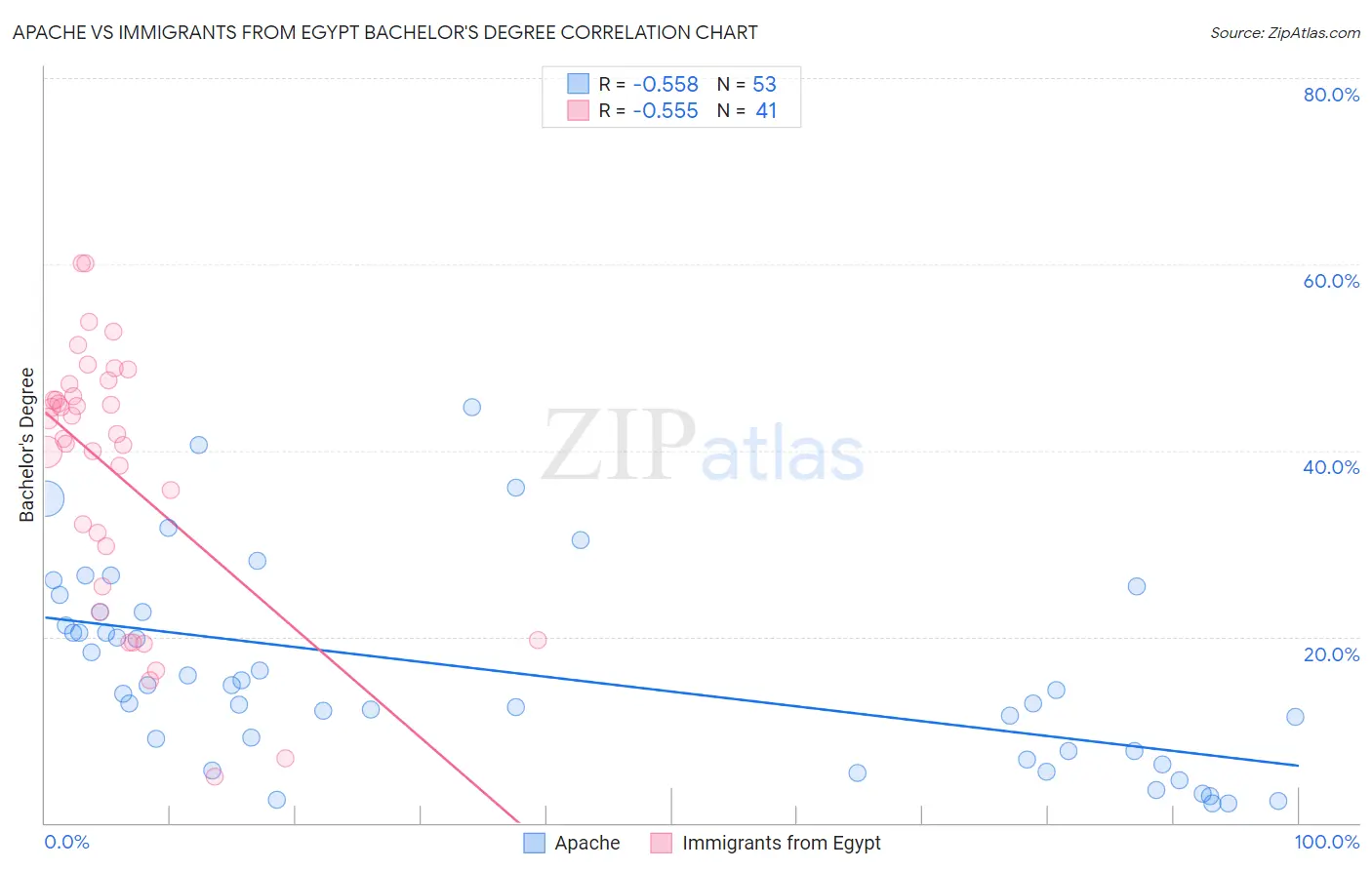 Apache vs Immigrants from Egypt Bachelor's Degree
