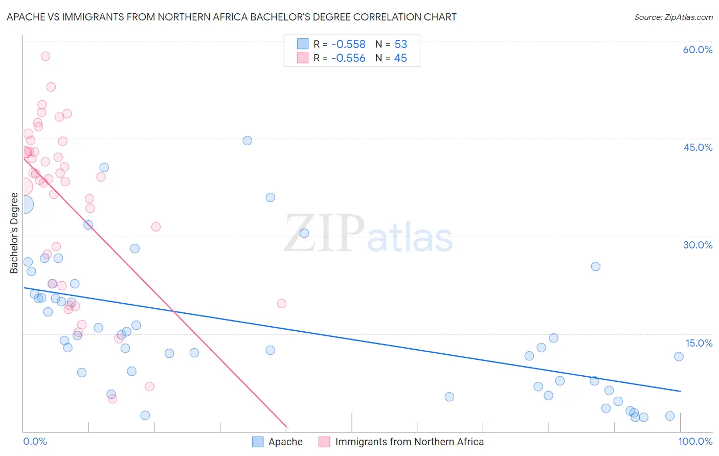 Apache vs Immigrants from Northern Africa Bachelor's Degree