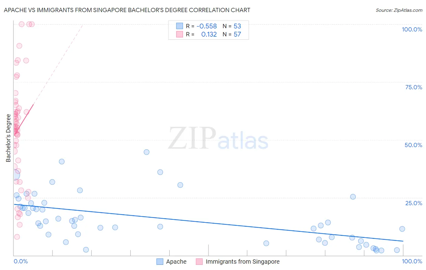Apache vs Immigrants from Singapore Bachelor's Degree