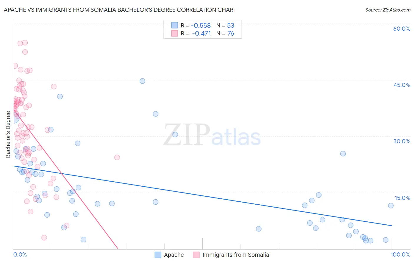 Apache vs Immigrants from Somalia Bachelor's Degree