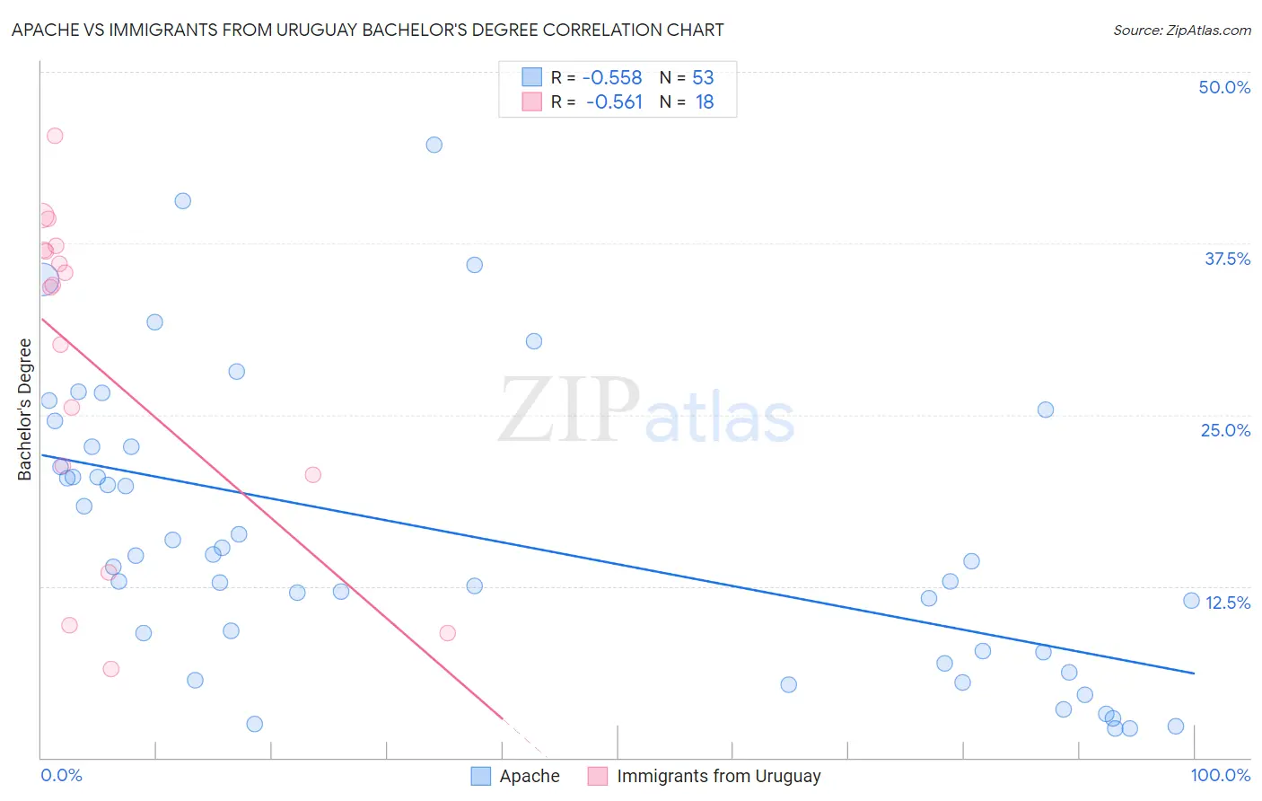 Apache vs Immigrants from Uruguay Bachelor's Degree