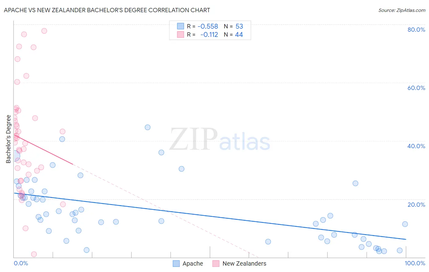 Apache vs New Zealander Bachelor's Degree
