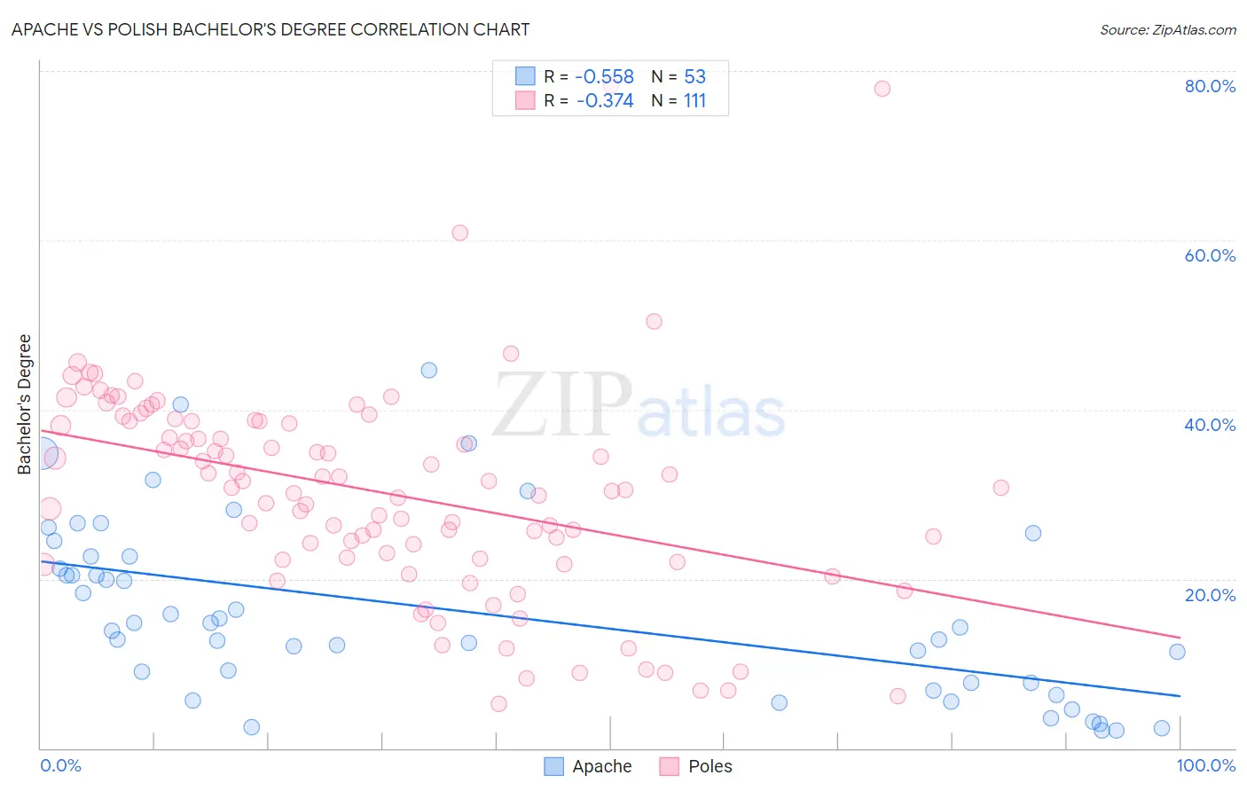 Apache vs Polish Bachelor's Degree