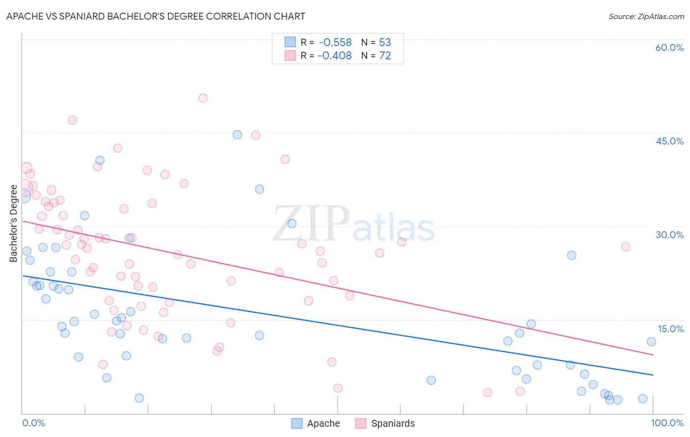 Apache vs Spaniard Bachelor's Degree