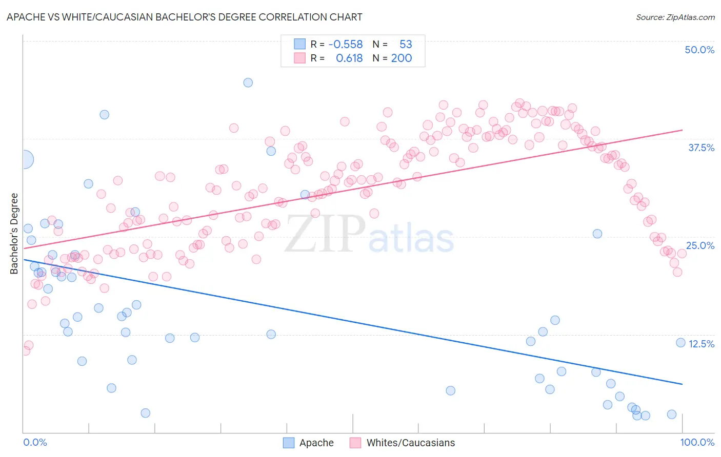 Apache vs White/Caucasian Bachelor's Degree