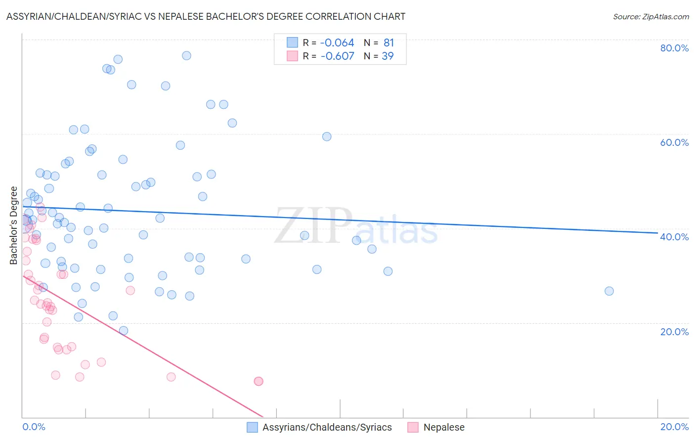Assyrian/Chaldean/Syriac vs Nepalese Bachelor's Degree