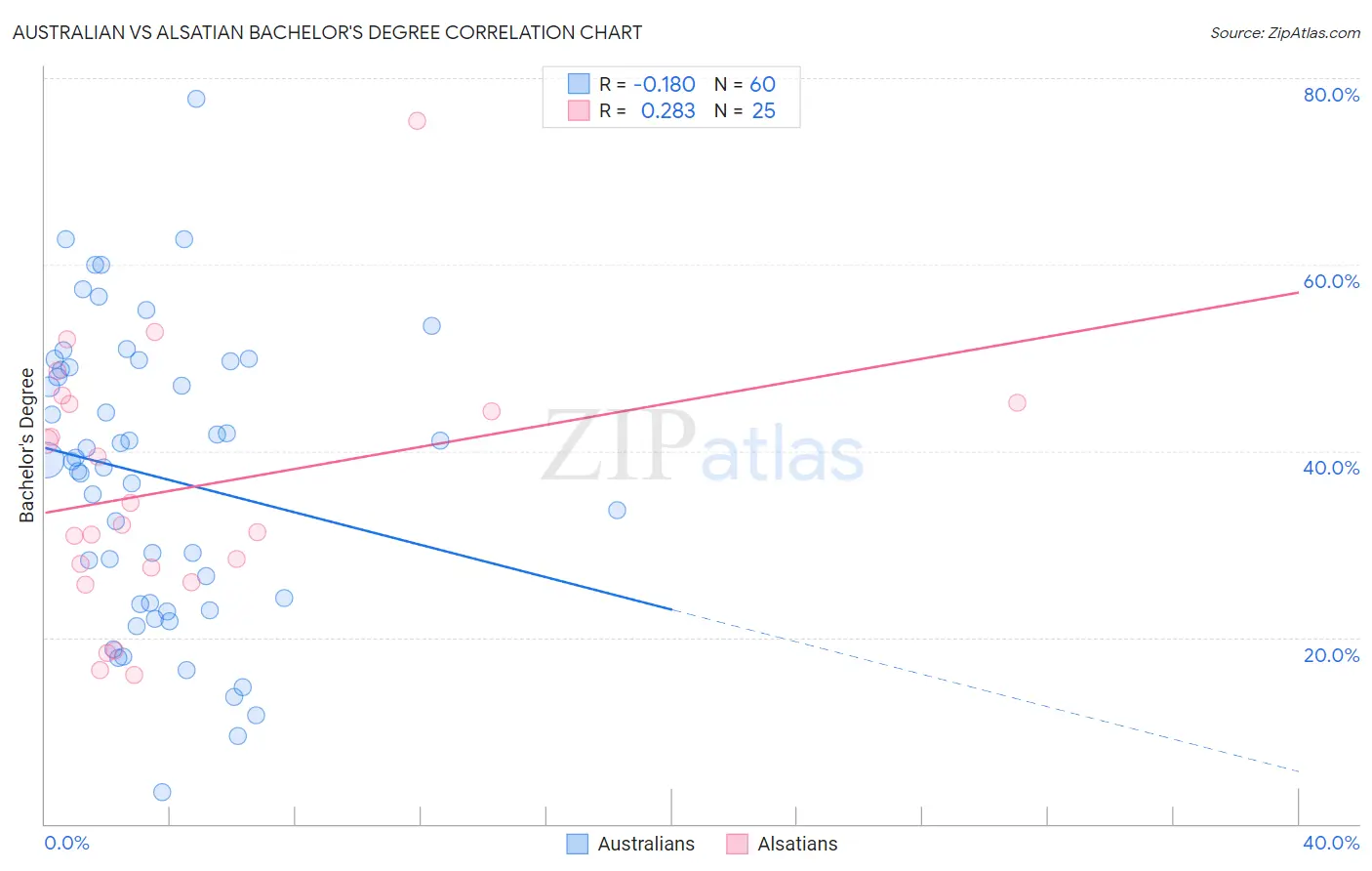 Australian vs Alsatian Bachelor's Degree