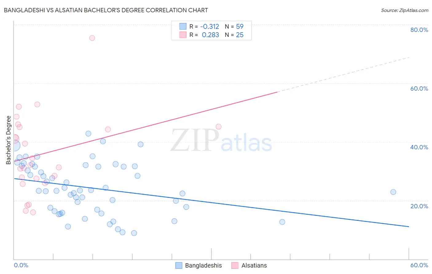 Bangladeshi vs Alsatian Bachelor's Degree
