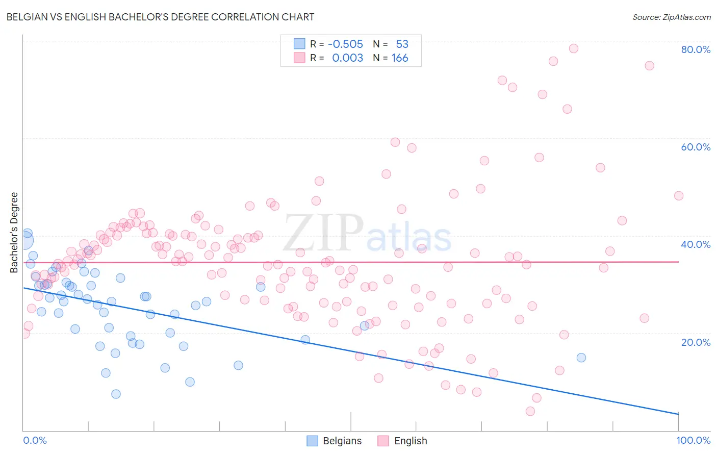 Belgian vs English Bachelor's Degree