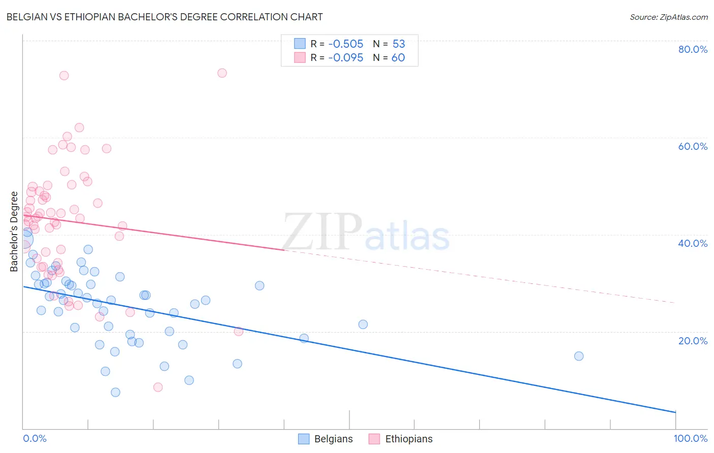 Belgian vs Ethiopian Bachelor's Degree