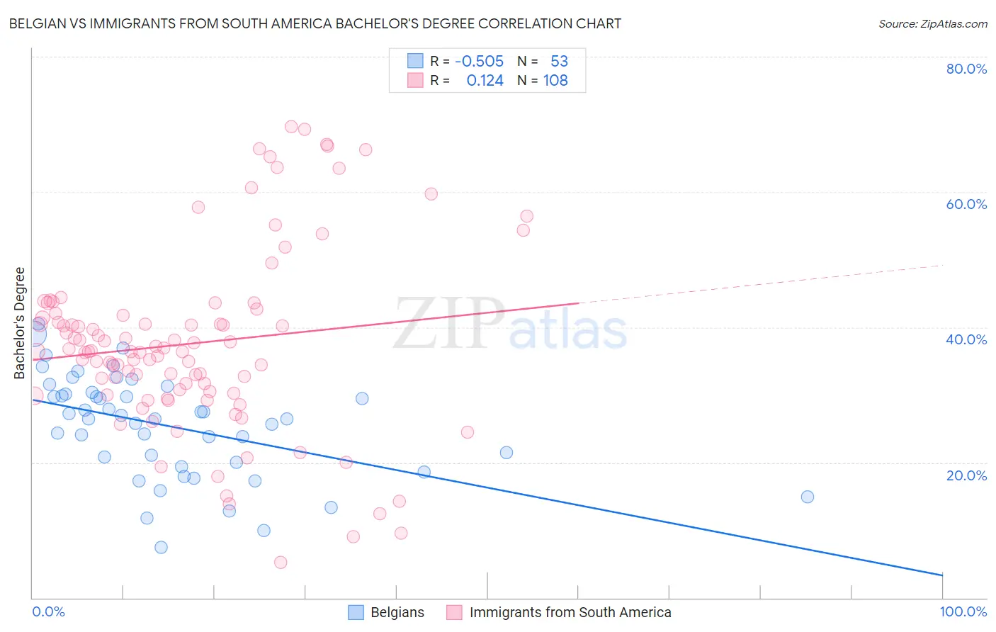 Belgian vs Immigrants from South America Bachelor's Degree