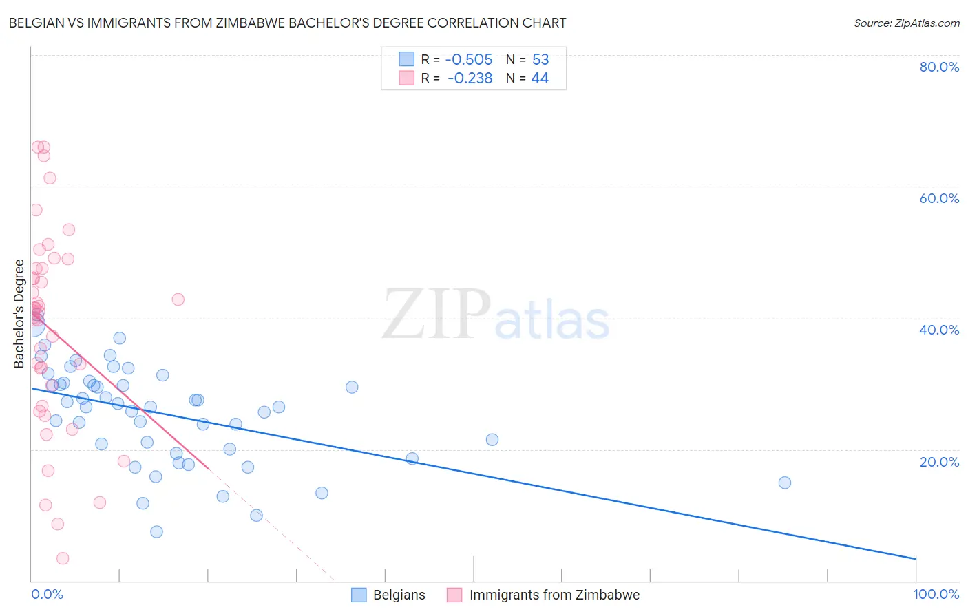 Belgian vs Immigrants from Zimbabwe Bachelor's Degree