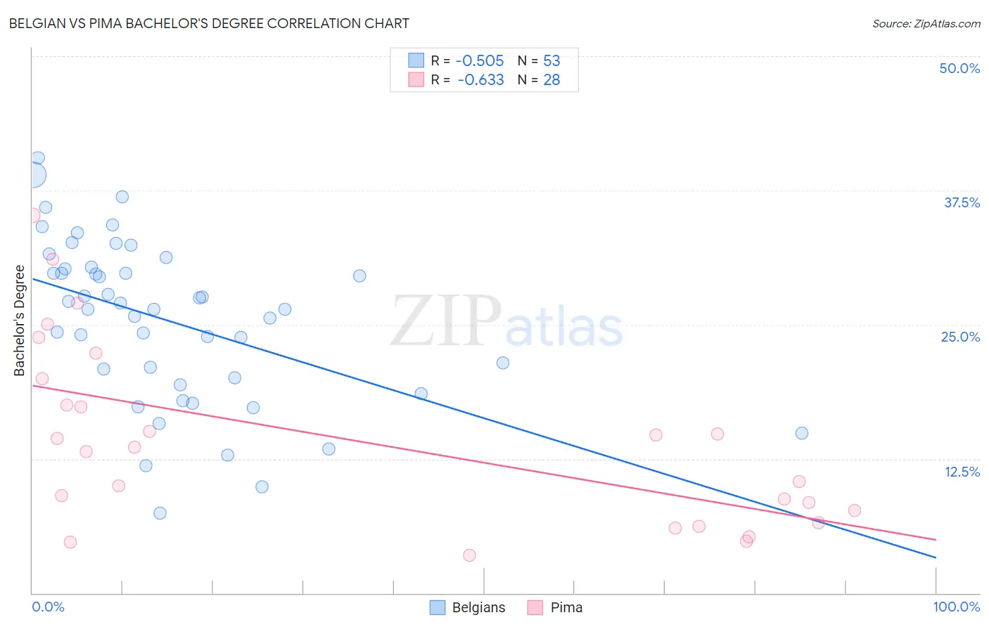 Belgian vs Pima Bachelor's Degree