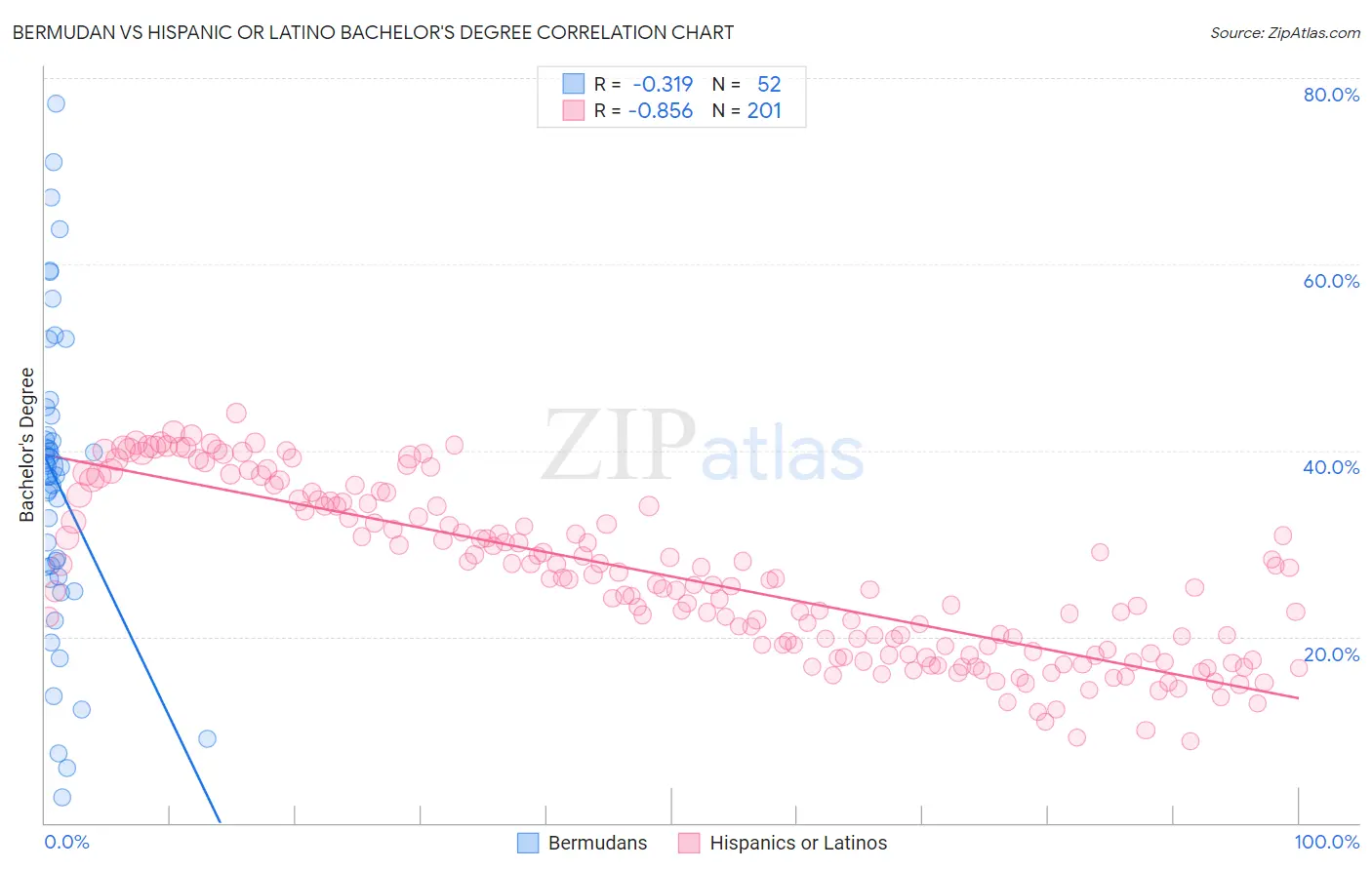 Bermudan vs Hispanic or Latino Bachelor's Degree
