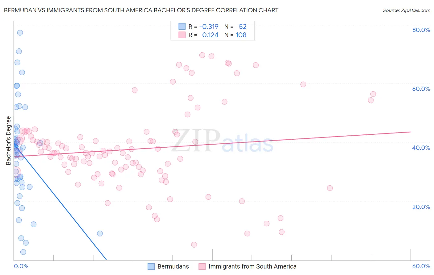 Bermudan vs Immigrants from South America Bachelor's Degree