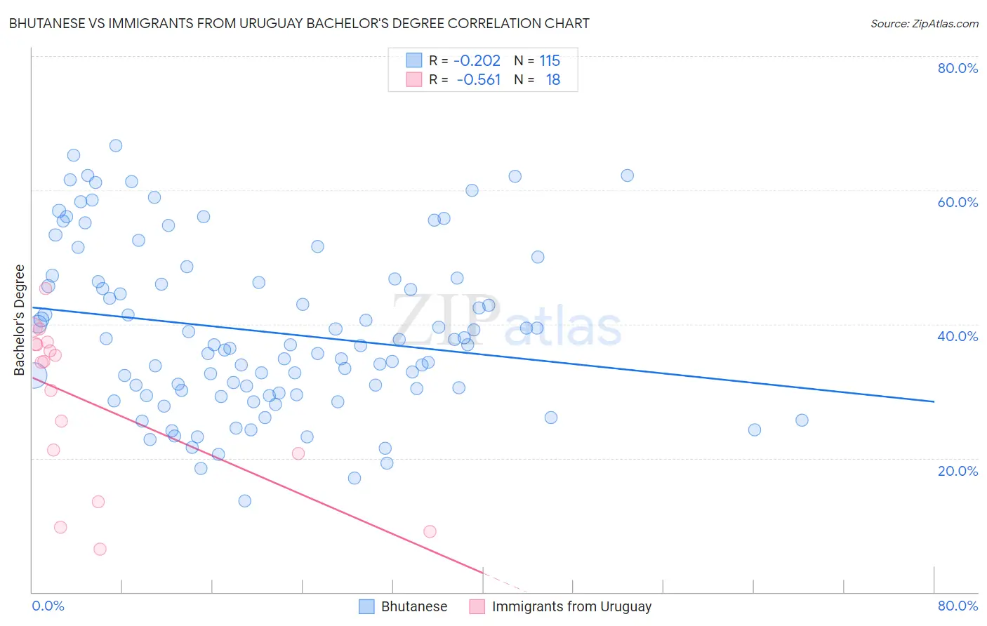 Bhutanese vs Immigrants from Uruguay Bachelor's Degree