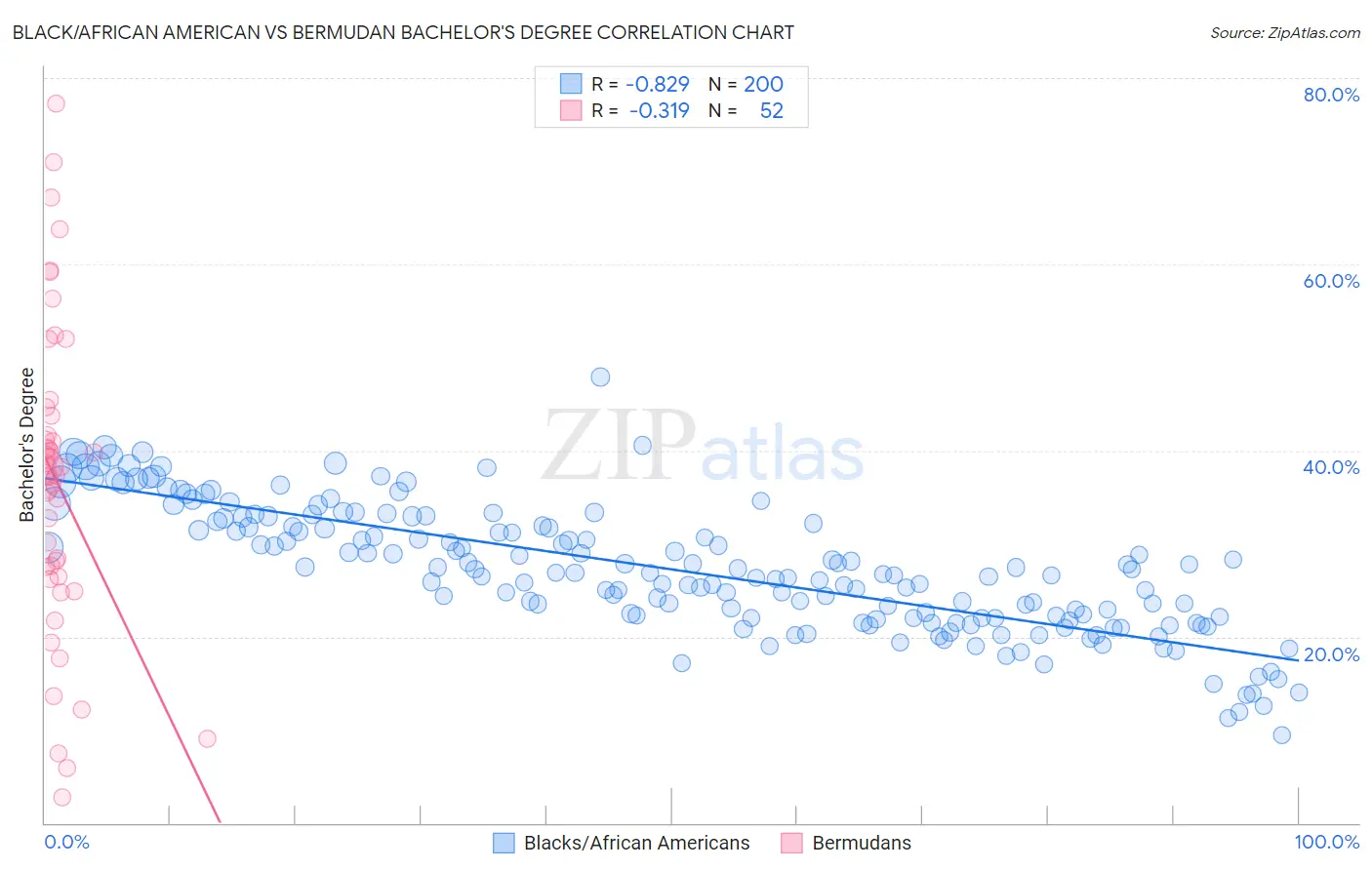 Black/African American vs Bermudan Bachelor's Degree