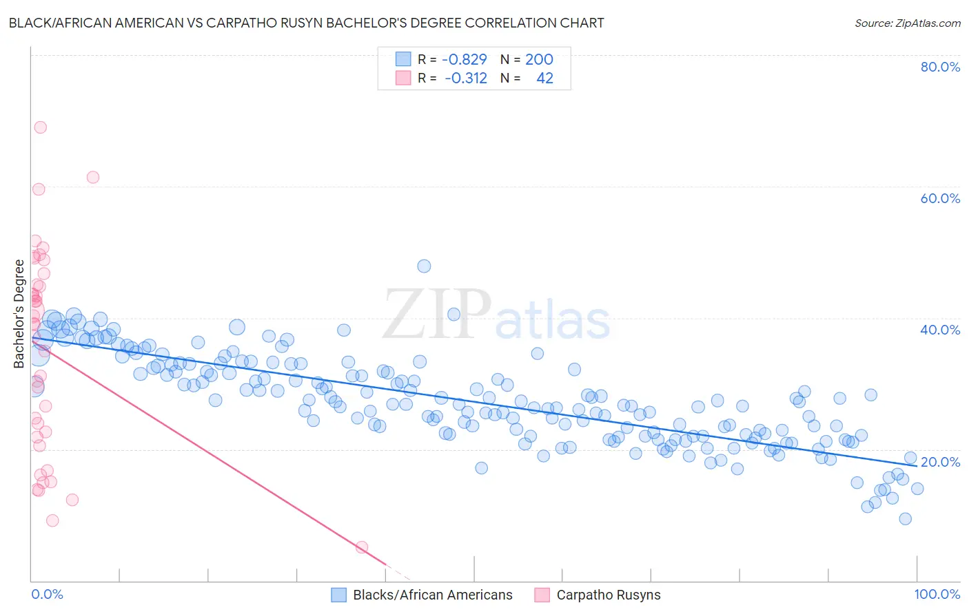Black/African American vs Carpatho Rusyn Bachelor's Degree