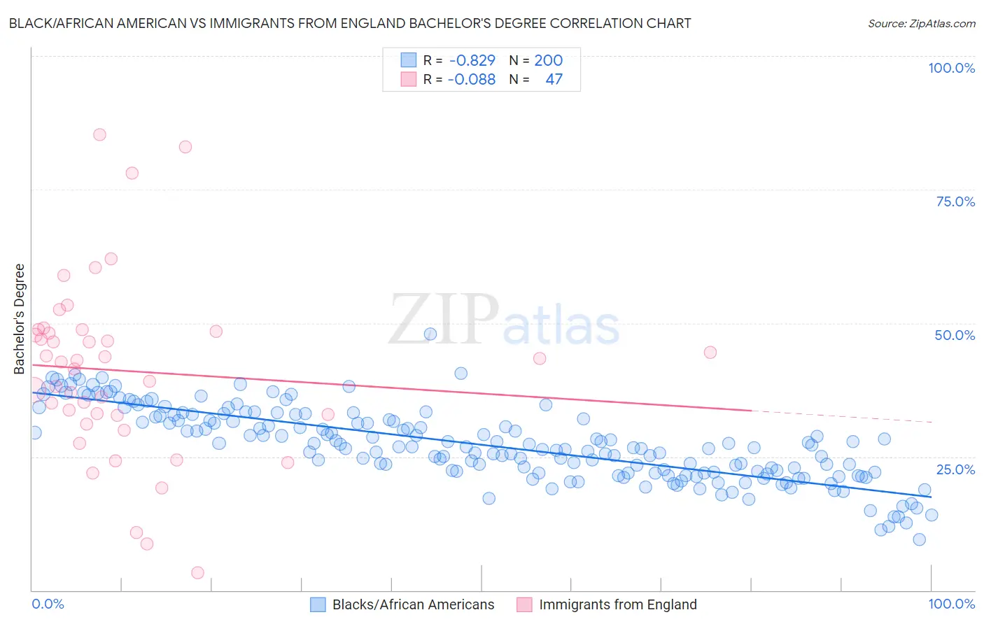 Black/African American vs Immigrants from England Bachelor's Degree