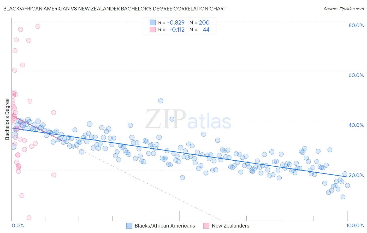 Black/African American vs New Zealander Bachelor's Degree