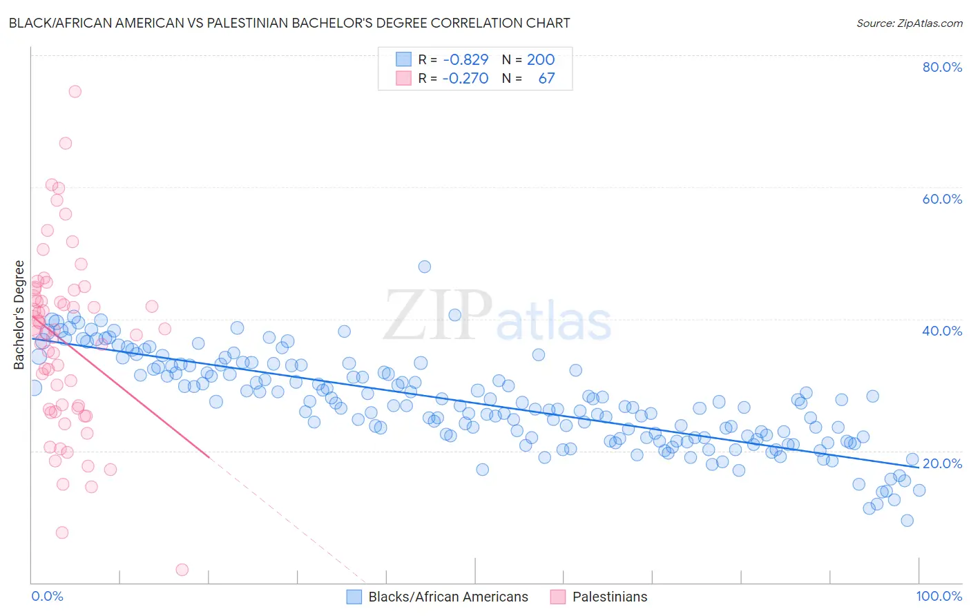 Black/African American vs Palestinian Bachelor's Degree