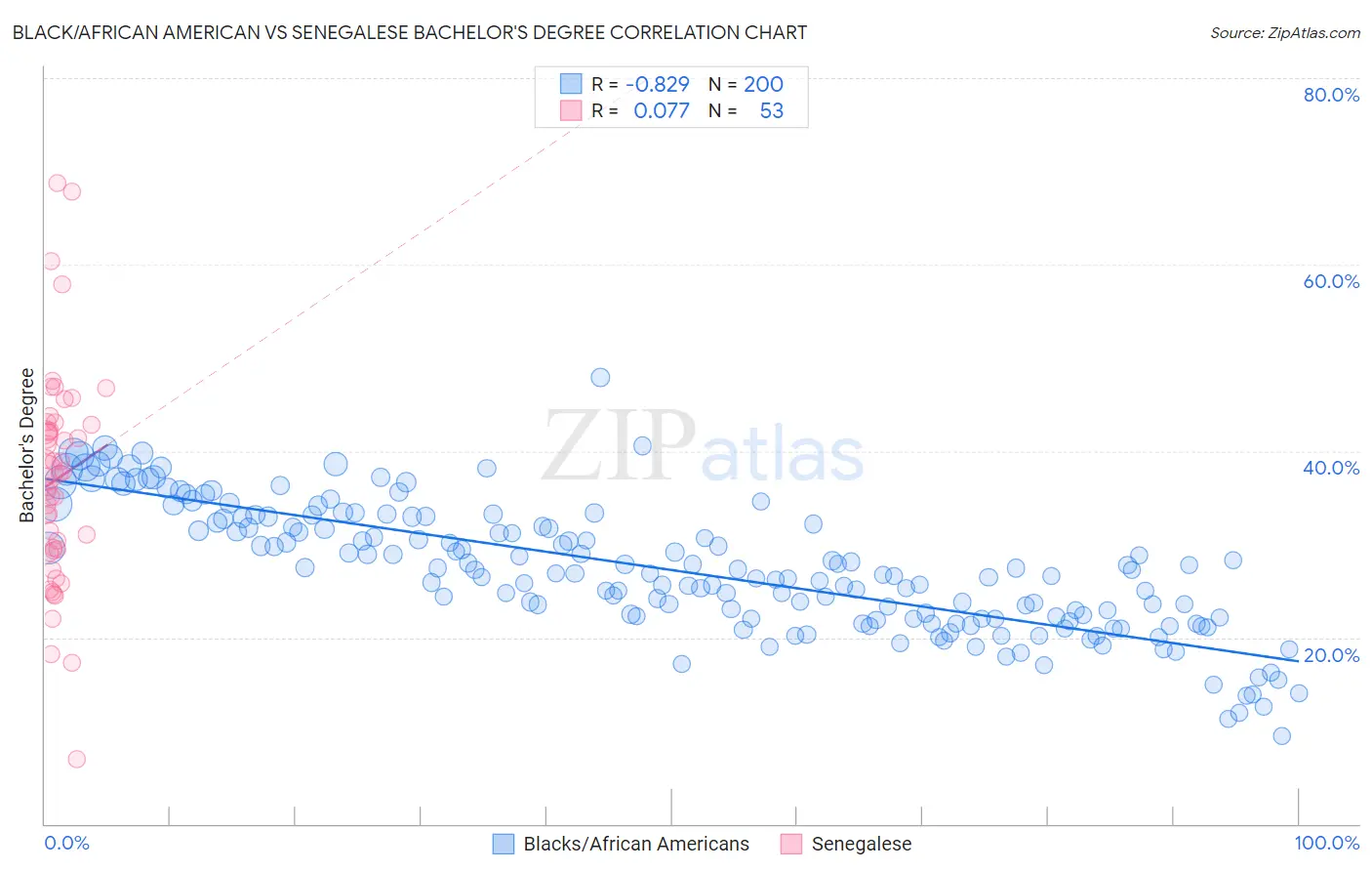Black/African American vs Senegalese Bachelor's Degree