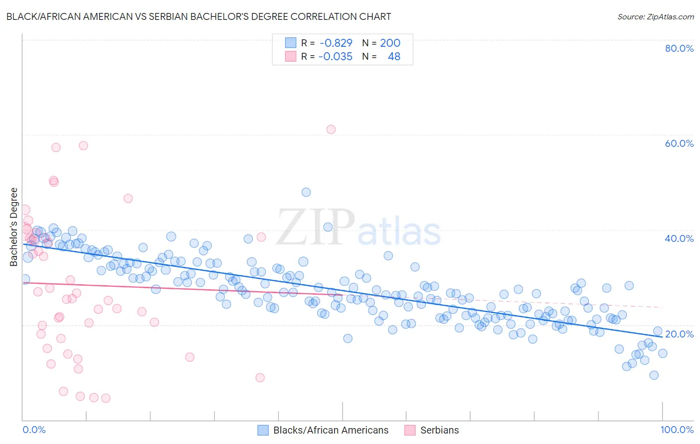 Black/African American vs Serbian Bachelor's Degree