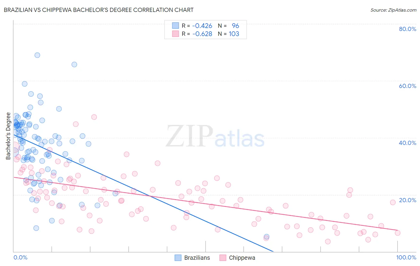 Brazilian vs Chippewa Bachelor's Degree