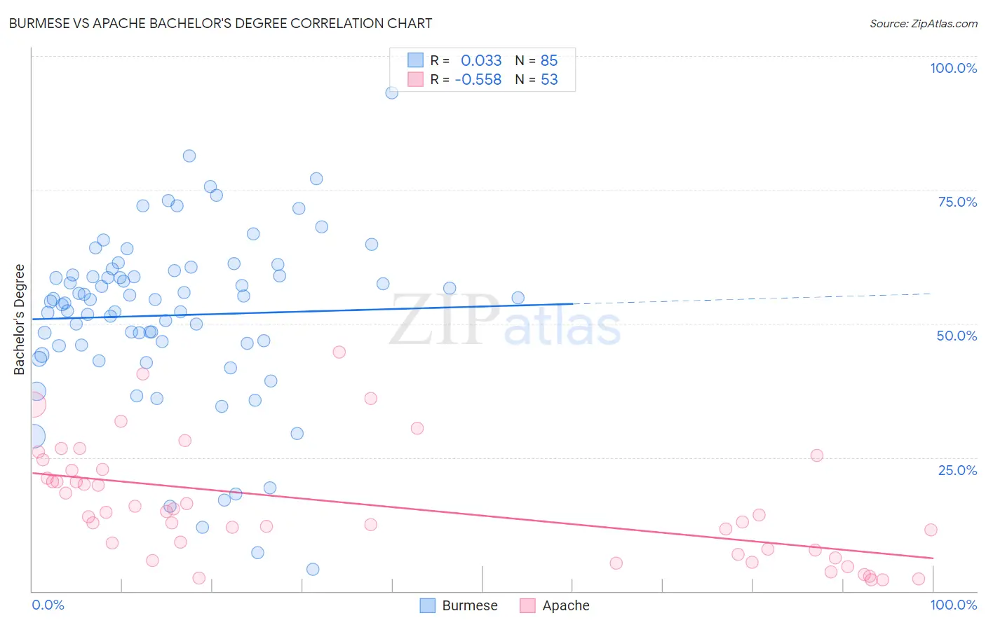 Burmese vs Apache Bachelor's Degree