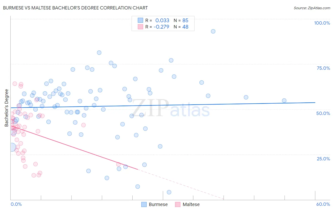 Burmese vs Maltese Bachelor's Degree