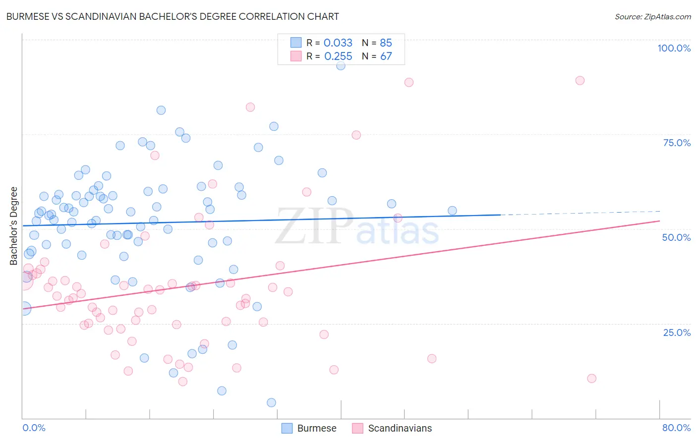 Burmese vs Scandinavian Bachelor's Degree