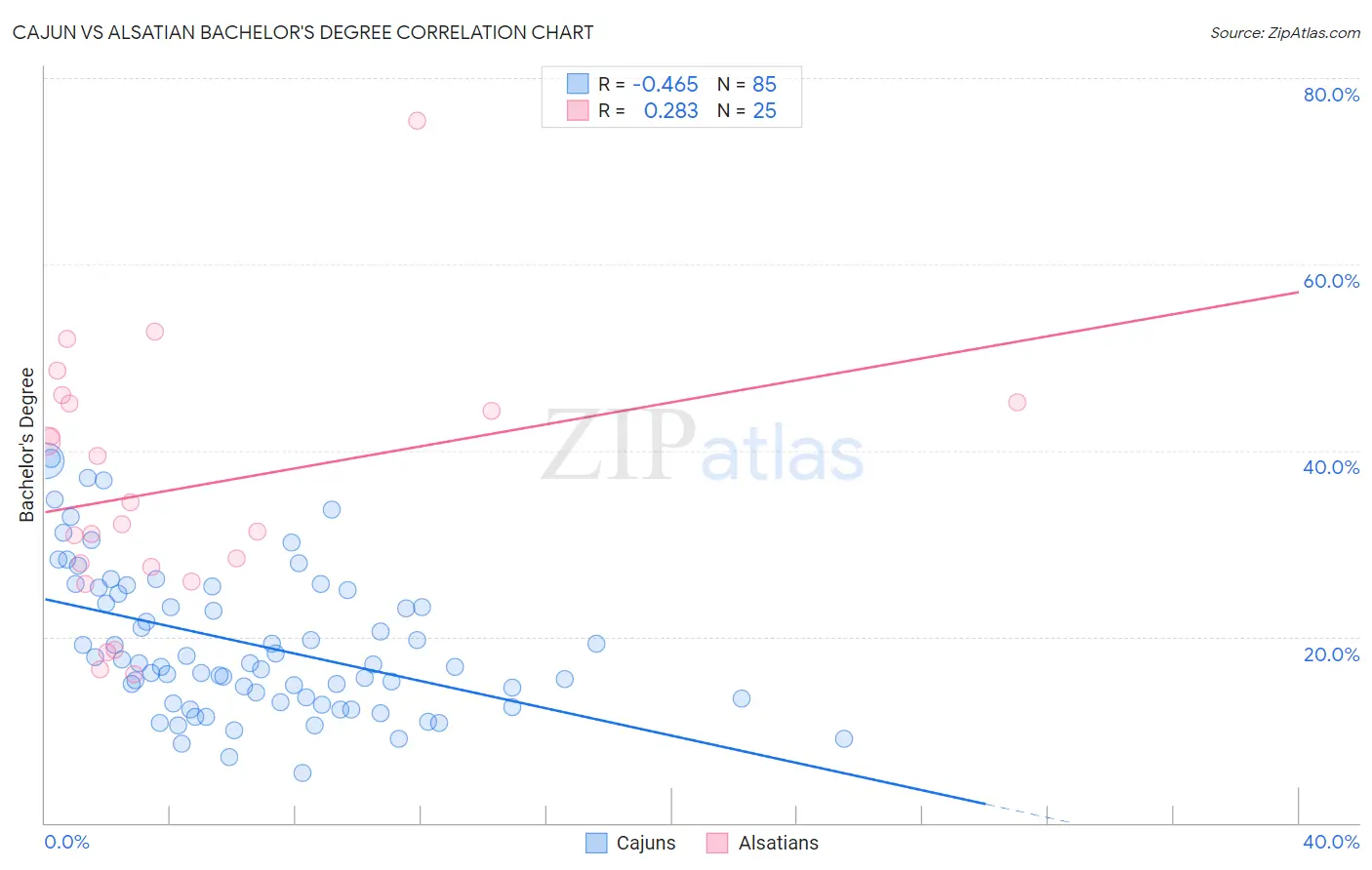 Cajun vs Alsatian Bachelor's Degree