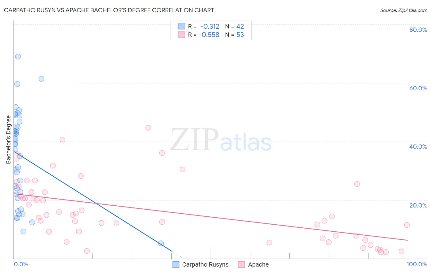 Carpatho Rusyn vs Apache Bachelor's Degree