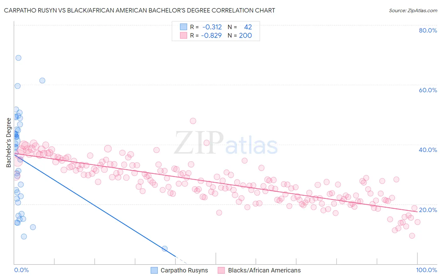 Carpatho Rusyn vs Black/African American Bachelor's Degree