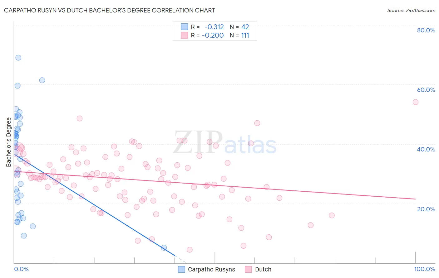 Carpatho Rusyn vs Dutch Bachelor's Degree