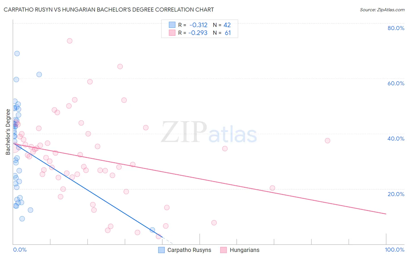 Carpatho Rusyn vs Hungarian Bachelor's Degree