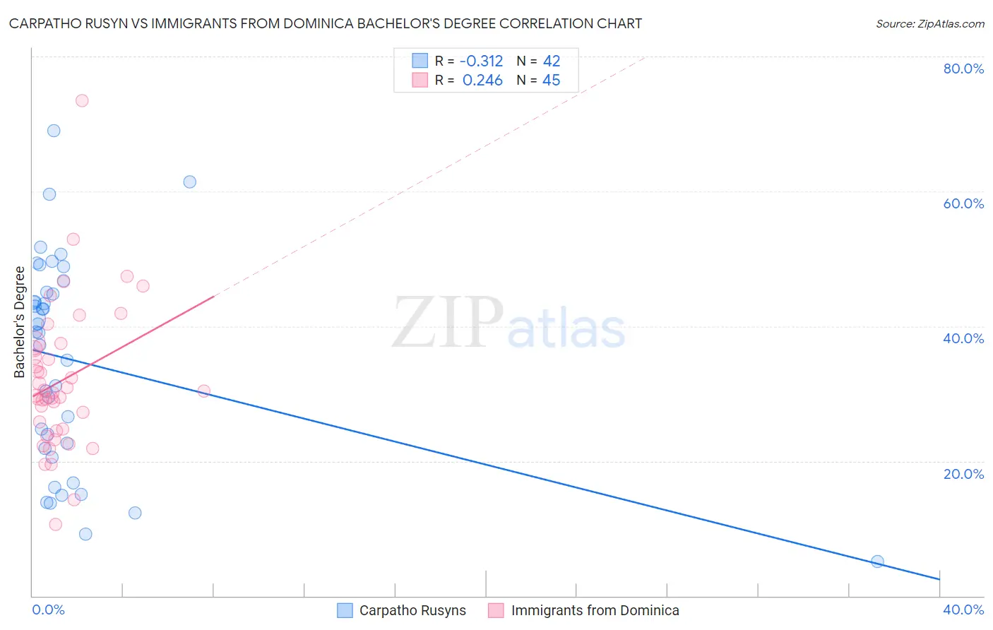 Carpatho Rusyn vs Immigrants from Dominica Bachelor's Degree