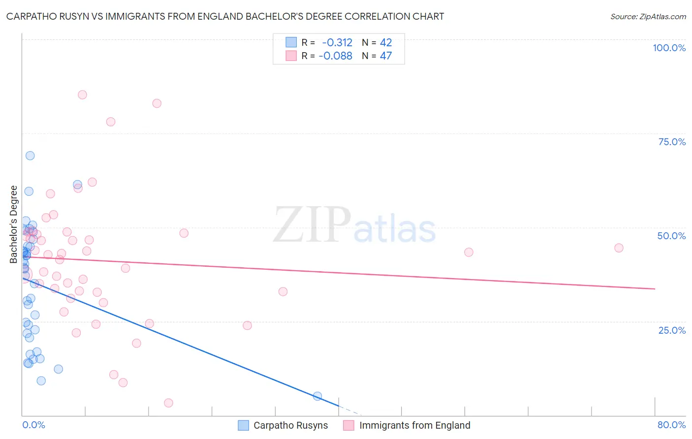 Carpatho Rusyn vs Immigrants from England Bachelor's Degree