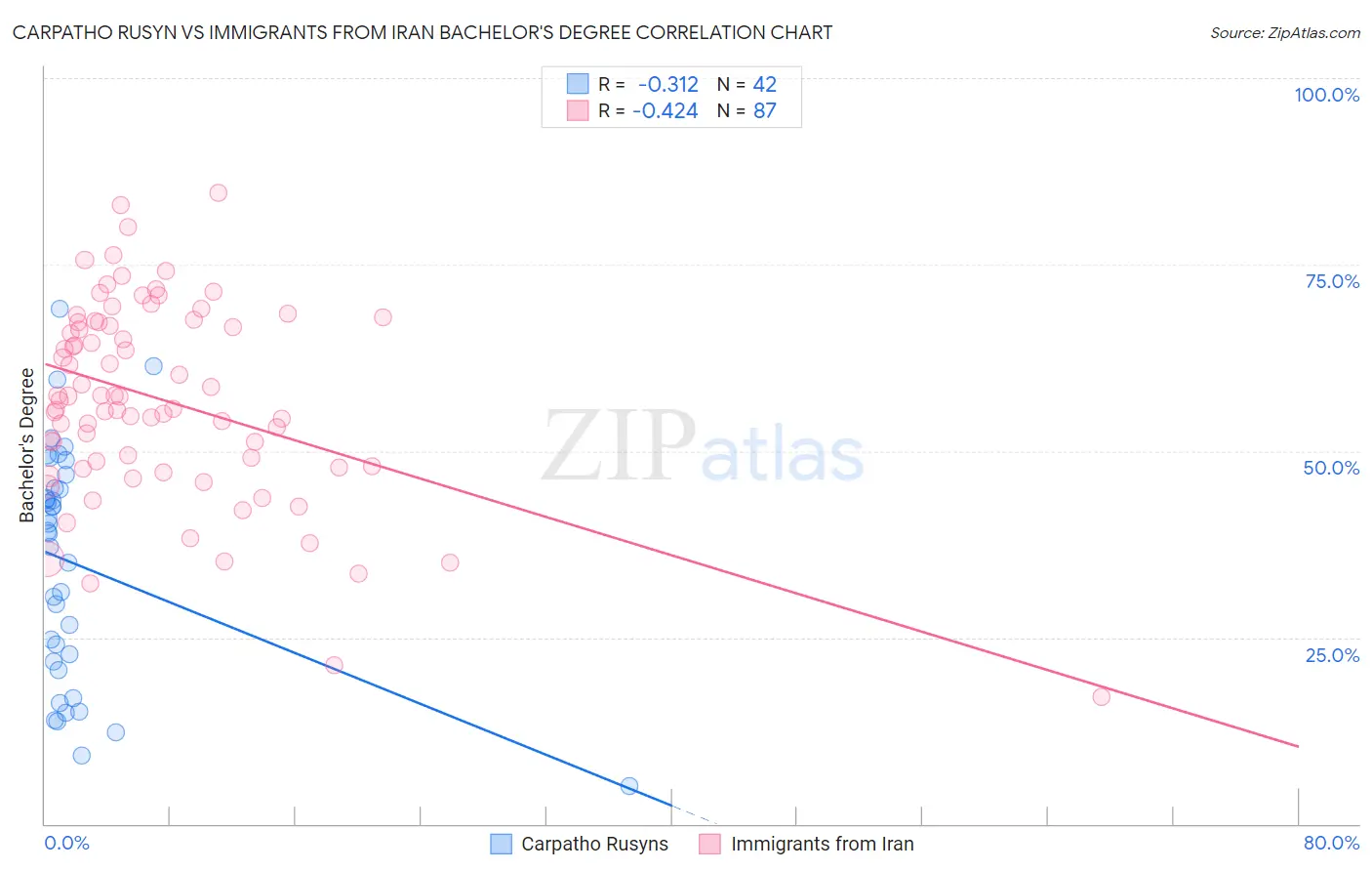 Carpatho Rusyn vs Immigrants from Iran Bachelor's Degree
