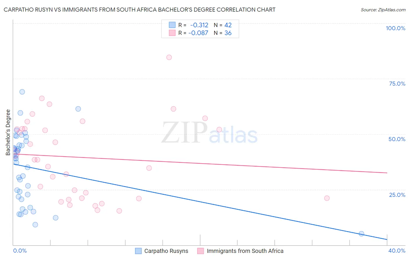 Carpatho Rusyn vs Immigrants from South Africa Bachelor's Degree