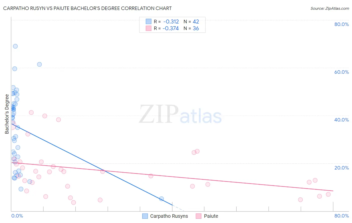 Carpatho Rusyn vs Paiute Bachelor's Degree