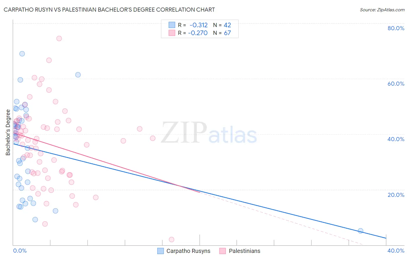Carpatho Rusyn vs Palestinian Bachelor's Degree