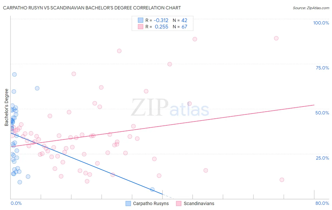 Carpatho Rusyn vs Scandinavian Bachelor's Degree