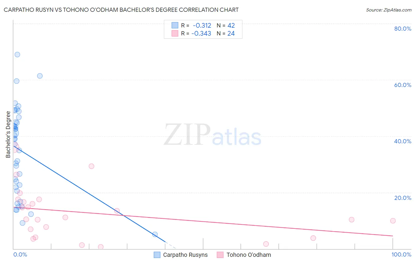 Carpatho Rusyn vs Tohono O'odham Bachelor's Degree